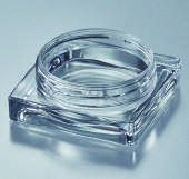 Cream Jars of Small Capacity for Beauty & Cosmetics